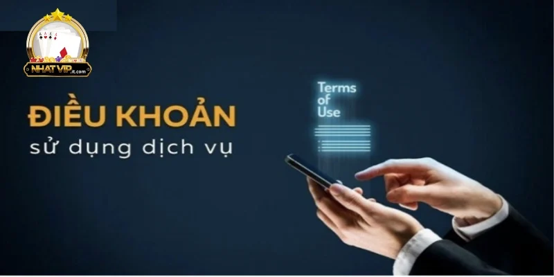 Điều Khoản Sử Dụng